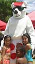 buddy bear
