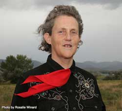 temple grandin