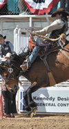 fiesta days pro rodeo