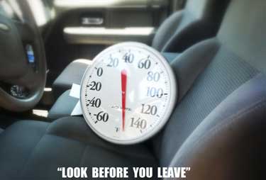 car temp